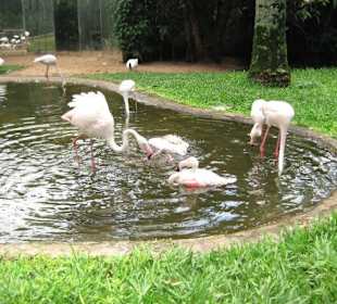 Exotische Fauna und Flora zum anfassen