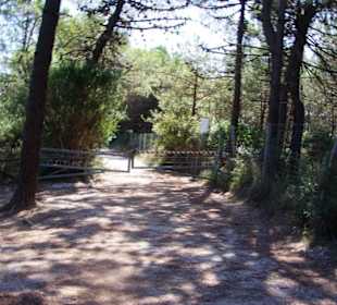 Angenehme Temperaraturen