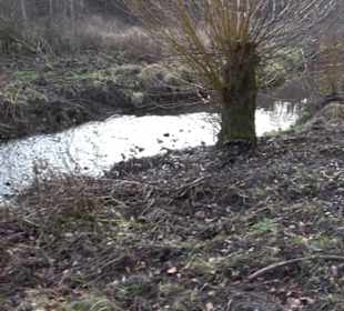 Schönbuch Schaichtal