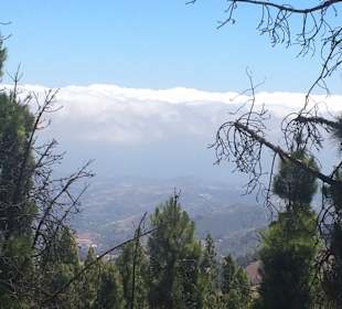 Stadtrundfahrt Las Palmas