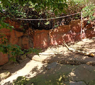 Gehege der Stachelschweine