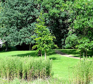 Spaziergang durch den Stadtpark