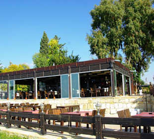 Inspirationen an d.Strandprom.entlang Nov.2010