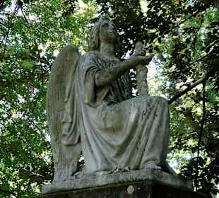 Blick über die Grabmale im Cheltenham-Park