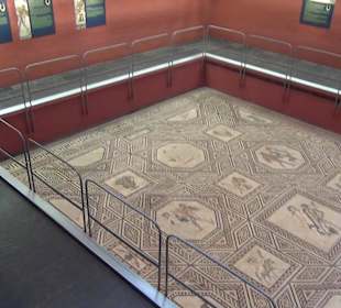 Römisch-Germanisches Museum