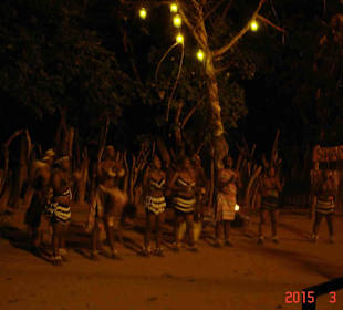 Krüger Nationalpark