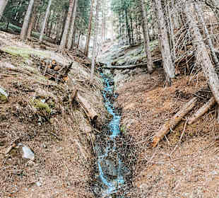 Wandern Davos