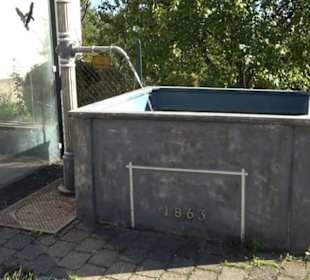 Historischer Brunnen Hornstein