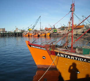 Hafen Mar del Plata