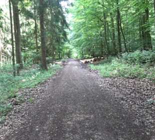 Keltische Grabstätten