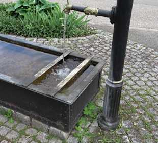 Historischer Dorfbrunnen Oberwaldachtal