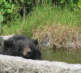 В зоопарке Бали