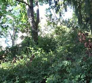 Parkanlage Silberburg