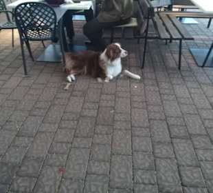 Terrasse und Hotelgast