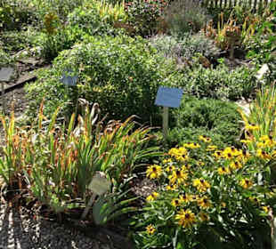 Klosterkirche Maria Gnadenzell
