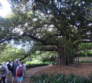 Stadtrundgang Sydney