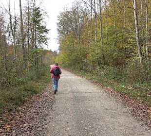 Wandertour "Rund um den Rossberg" Öschingen