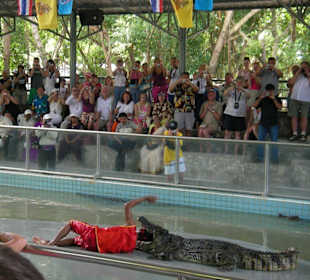 Krokodilshow in Pattaya