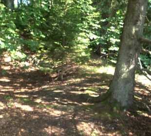 Premiumwanderweg "hochgesprudelt"