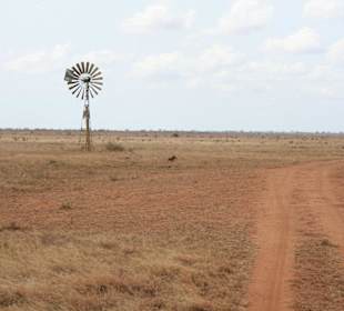 Wasserrad mit "Kenia Express"