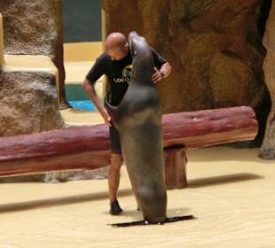 Er flüstert ihm etwas ins Ohr