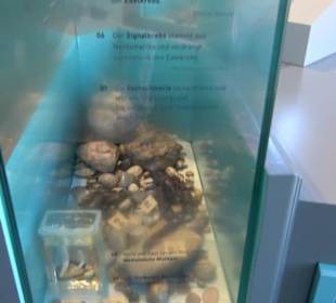 Museum Natur und Mensch