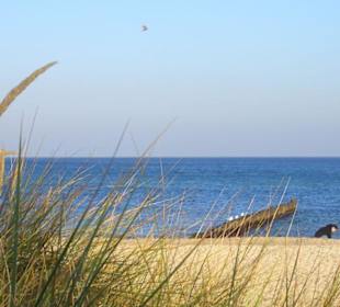 Ruhe am Sandstrand Kühlungsborns