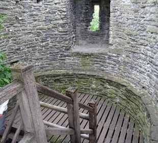 Aufstieg zur Stadtmauer Conwy