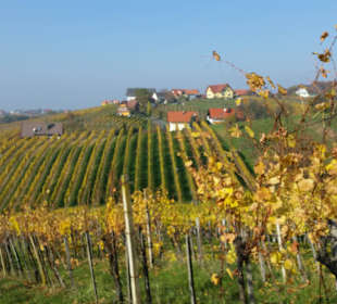 Weinbaugebiet Klöch