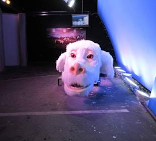 Die unendliche Geschichte