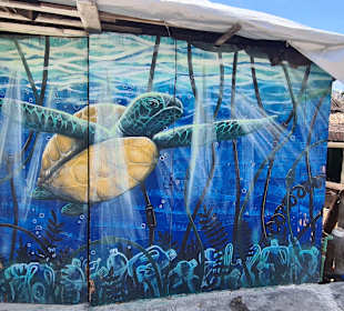 Stadtrundgang Akumal