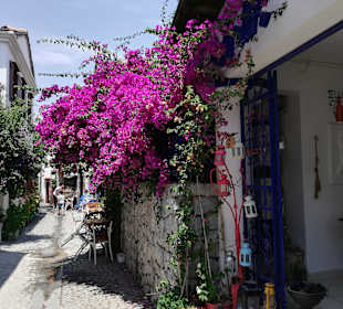 Stadtrundgang Sigacik