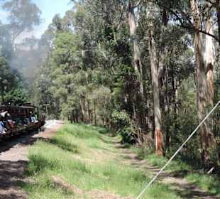 Mit der Puffing Billy Dampfbahn unterwegs