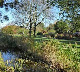 Rundgang durch den Botanischen Garten Hamburg
