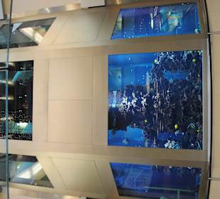 Akwarium w Arkadach w całej okazałości,