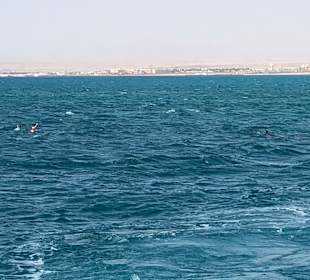 Schnorcheln Hurghada