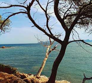 Strand Cala Poncet