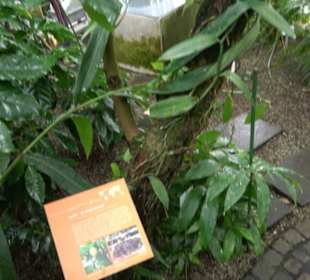 Tropicarium