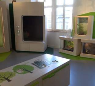 Museum für Naturkunde