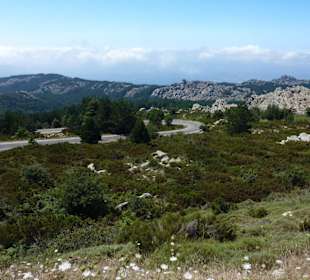 Blick vom Monte Limbara