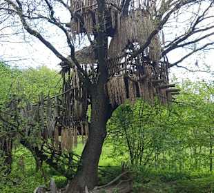 Wandern Drachselsried