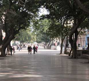 Der Boulevard zum Malecon