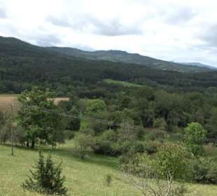 Naturschutzgebiet Zollerhalde Zimmern