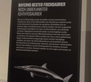 Dinosaurier Museum Altmühltal