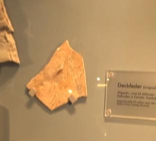 Jura-Museum
