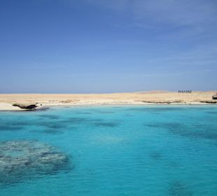 Ausflug zur Dream-Insel