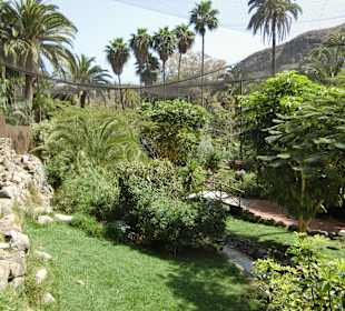 Ausflug zum Palmitos Park