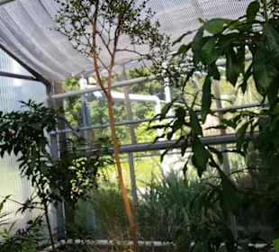 Botanischer Garten 