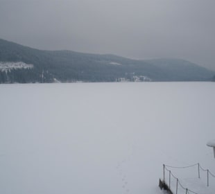 Titisee im Winter