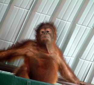 Auf dem Dach des Centers